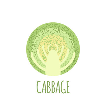 Half of cabbage. Icon in flat style,
