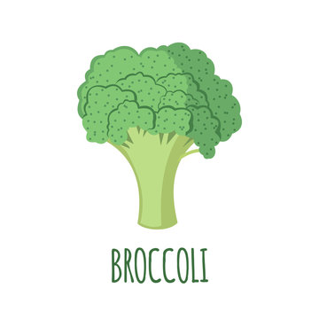 Broccoli icon in flat style on white background