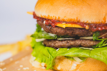 burger and french fries