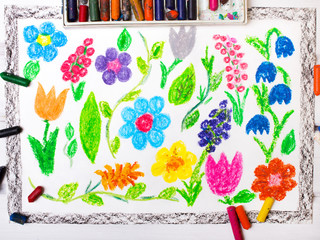 colorful  drawing: miscellaneous types of flowers
