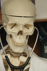 Esqueleto de plástico con fonendoscopio y bata de médico