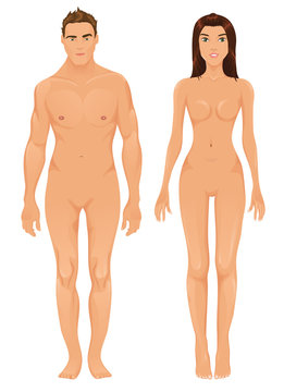 Vector male and female models
