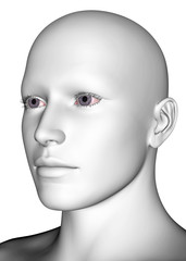 White Human Face - 3D