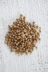 coriander seed