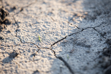 dirt, roads, Protector