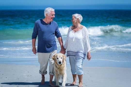 Cute Mature Couple Holding Hands Walking The Dog