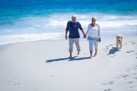 Cute Mature Couple Holding Hands Walking The Dog