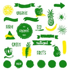 Han drawn farm fresh organic food label, badge or seal. 