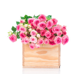 Roses in the box isolated on white background