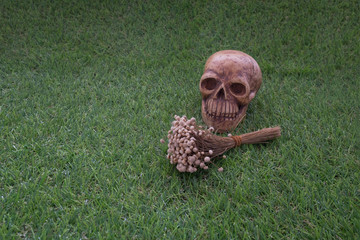 Still life of human skull and dry flower / Still life of human skull and dry flower on green grass sign of death