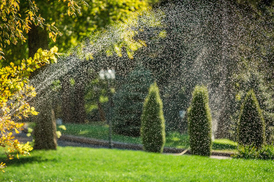 Garden Sprinklers