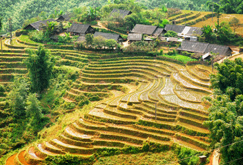 View of rice terraces and village houses in Sa Pa, Vietnam