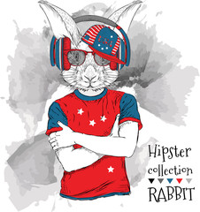 Illustration of tiger rabbit  dressed up in the glasses and in the t-shirt with print of USA flag. Vector illustration.
