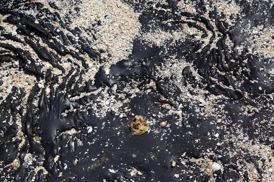 Oil Spill contaminating beach