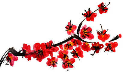 A branch of a blossoming tree. Pink flowers of sakura . Watercolor and ink illustration in style sumi-e, u-sin. Oriental traditional painting.  Isolated on white background.