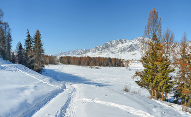 panoramic landscape of winter village road