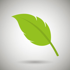 leaf icon  design 