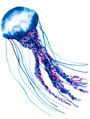 Fototapeta premium Watercolor painting jellyfish. Medusa Illustration isolated on white background, element tattoo design..