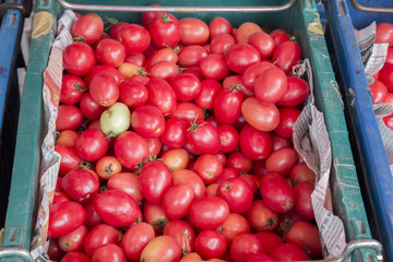 Tomato in plastic basket at market.