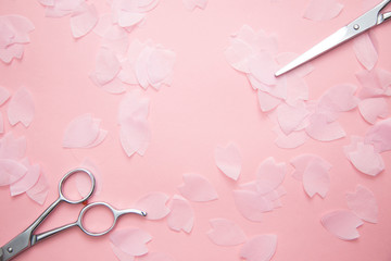 hairdressing scissors and sakura petals