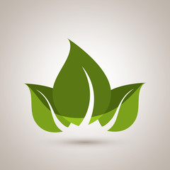 leaf icon  design 