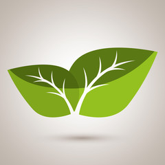 leaf icon  design 