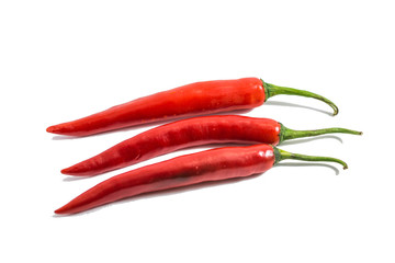 Red chili pepper isolated
