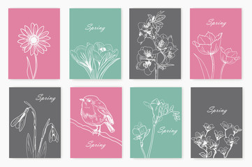 Fototapeta na wymiar drawn spring flowers. set of cards