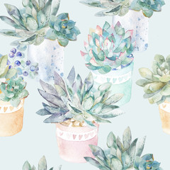 Floral seamless pattern.Succulents in pots. - 105946342