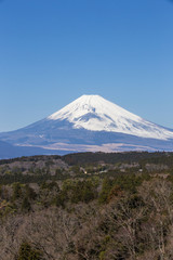Fototapeta na wymiar 箱根峠付近から見た富士山