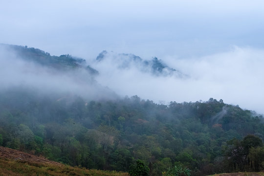 Fototapeta Mountain with fog in the morning