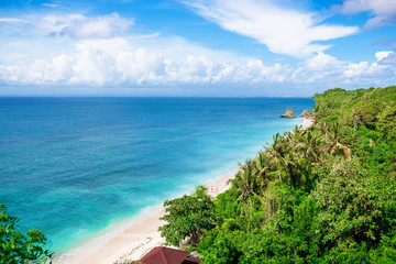 Tropical sand beach and palms