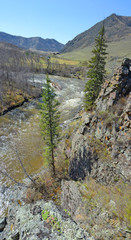 Mountain pastures and rocks, Altai mountains, Siberia, Russia