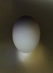 one white egg obscured object on a dark background isolated