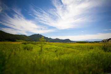 Obraz premium 山並み