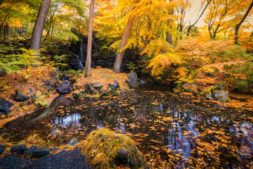 yellow maple leaves waterfall lake garden in autumn season