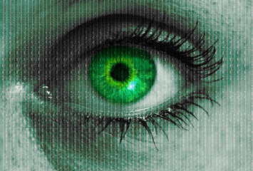 futuristic eye with matrix texture looking at viewer concept