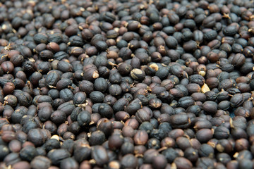 Coffee beans dried in the sun