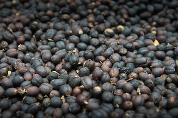 Coffee beans dried in the sun