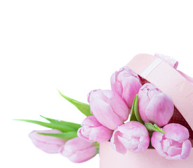 Gift box with tulip flowers