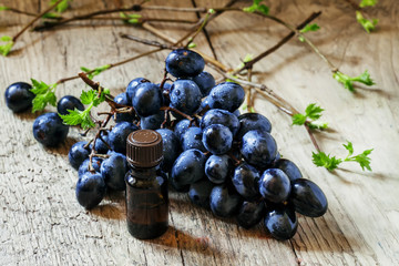Essential oil of grape, vine, blue grapes, old wooden background