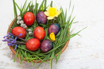 Colorful homemade easter eggs in nest