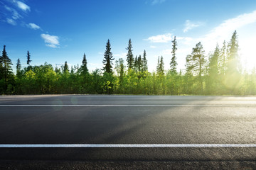 Obraz premium asphalt road in forest