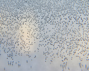 beautiful background, texture of the water, colored balls, children's background