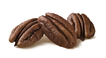 Pecan nut group isolated on white background