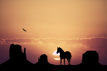 Fototapeta na wymiar horse in the desert
