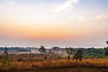 Sunrise in savanah meadow