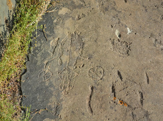 ancient petroglyphs found on the site Kalbak-Tash