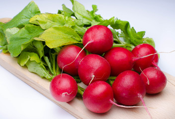 garden radish isolated on white background cutout