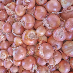 organic brown dry onions closeup, natural background